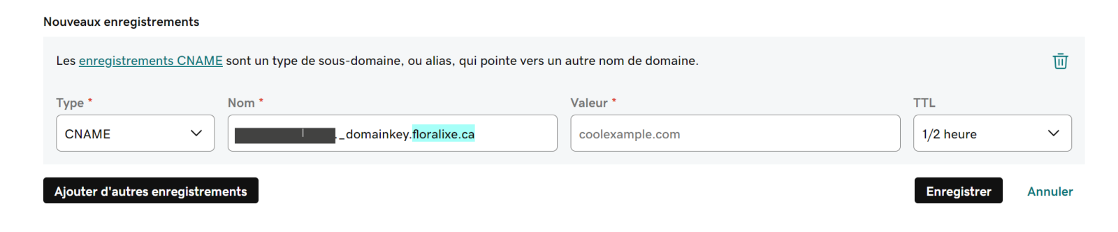 Sélectionnez le type CNAME et collez le nom de votre enregistrement